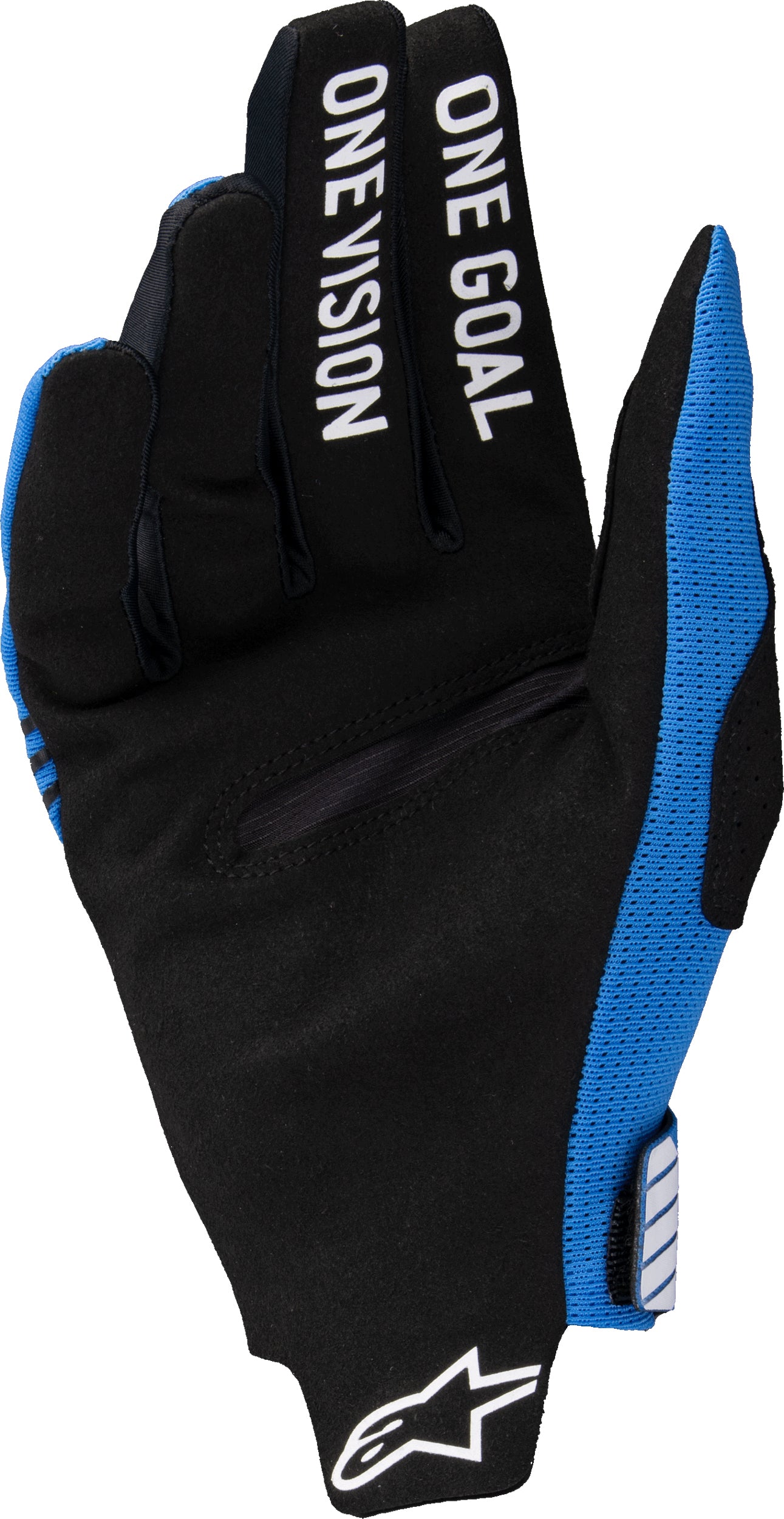 Radar Pro Gloves Blue Lg