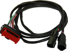 Audio Version Tourpack Rear Speaker Harness Hd 70160 11