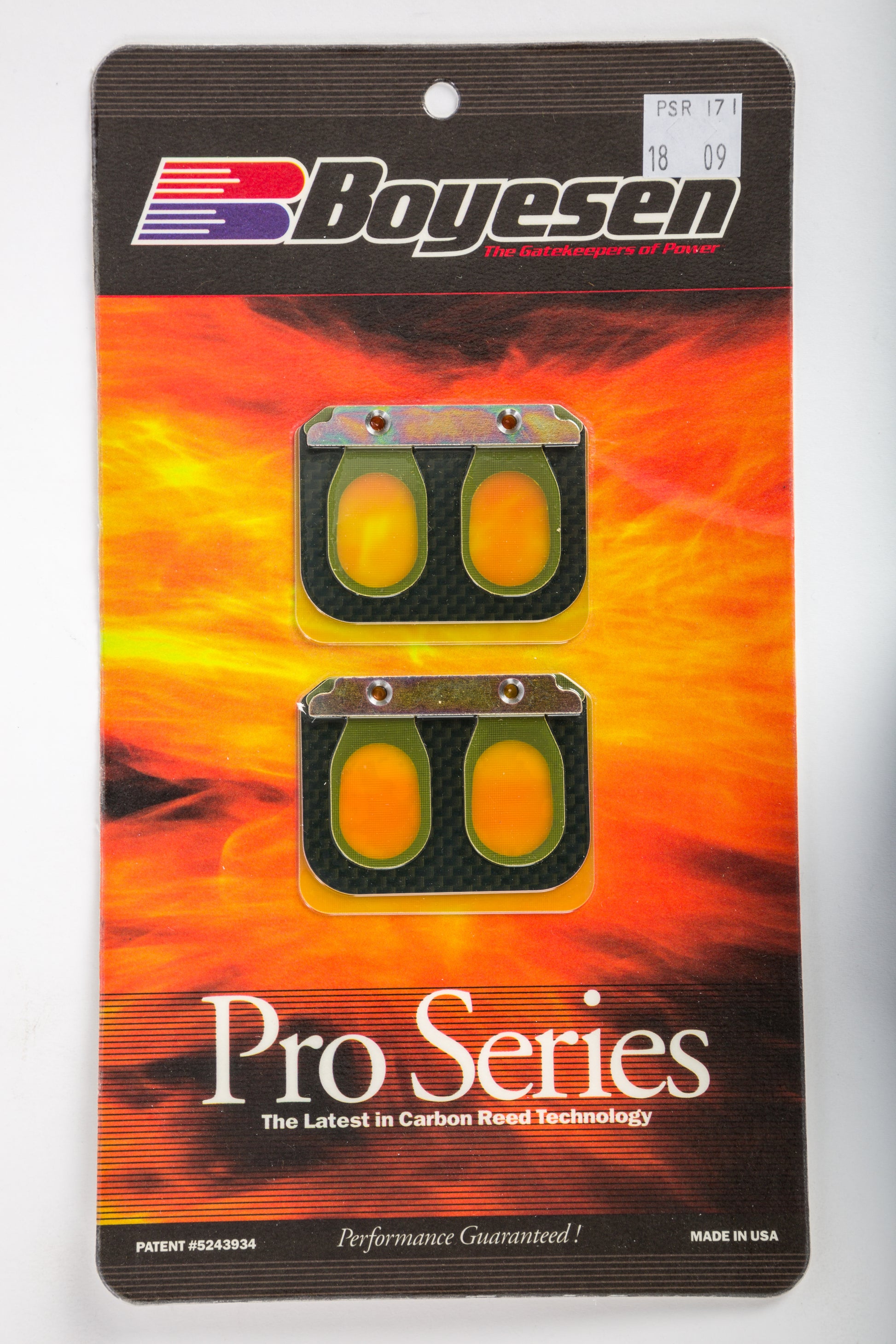 Motorcycle Pro Reeds