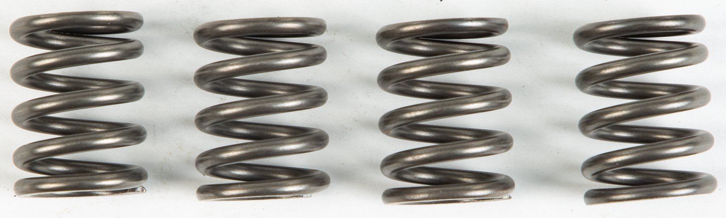 Clutch Springs Csk147