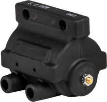 Hd 30v Hp Dual Fire Coil End Posts Pnts/Elct Ign 65 79