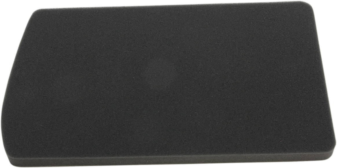 HIFLOFILTRO Replacement Air Filter - BMW HFA7603