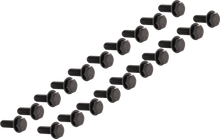 Beadlock 5/16" Bolt (20 Pcs) Gloss Black