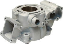 CYLINDER WORKS Cylinder - 48.50 mm - Kawasaki 30009-1
