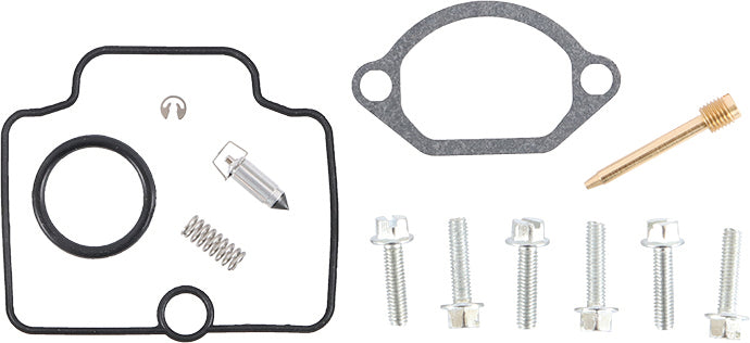 Carburetor Repair Kit