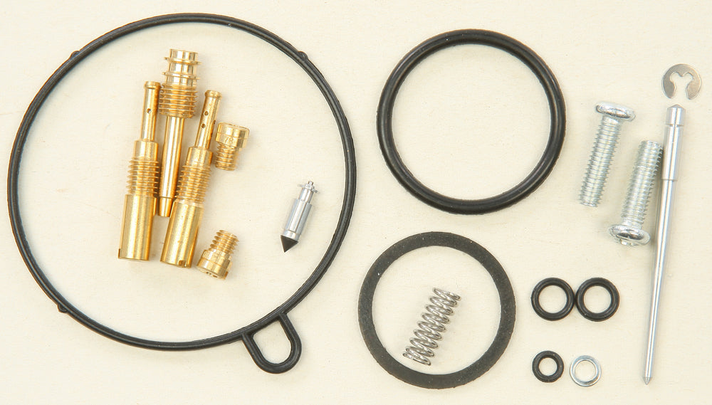 Bike Carburetor Rebuild Kit