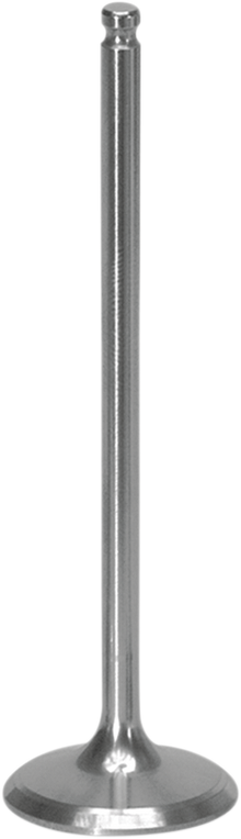 XCELDYNE Intake Valve XIVM13000