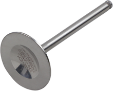 DEL WEST Intake Valve - Kawasaki KX450F '09-'14 DW-KX450F-IV09