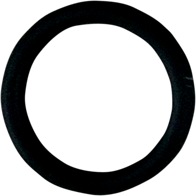 FUEL-TOOL Replacement O-Ring MC200