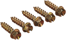 GOLD SCREWS Ice Screws - Gold - 1" - 1000 1250-0062