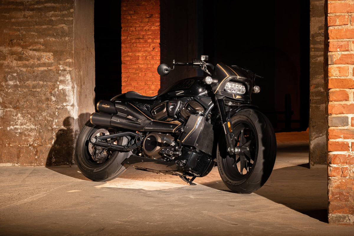 Zard 120th ANNIVERSARY LIMITED EDITION Top Gun Exhaust for Harley Davidson Sportster S 1250
