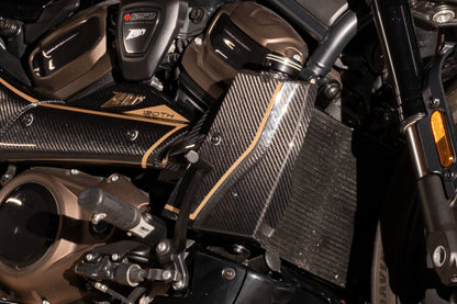 Zard 120th ANNIVERSARY LIMITED EDITION Carbon Fiber Radiator Covers, Front Fender, Side Panel, Billet Radiator Cap and Rear Suspension Knob Kit for Harley Davidson Sportster S 1250