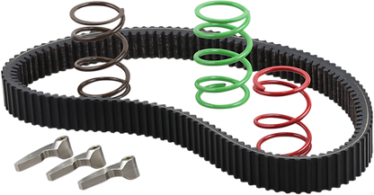 TRINITY RACING Clutch Kit - RZR XP TR-C123