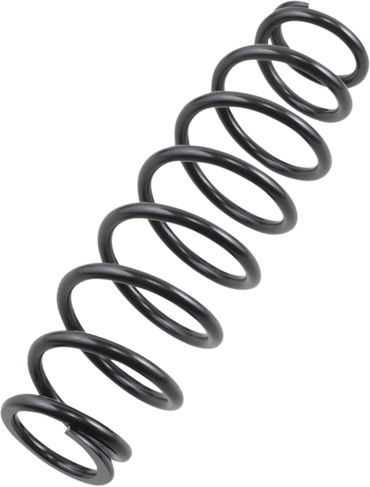 EPI Front/Rear Spring - Heavy Duty - Black - Spring Rate 120 lb/in WE325117