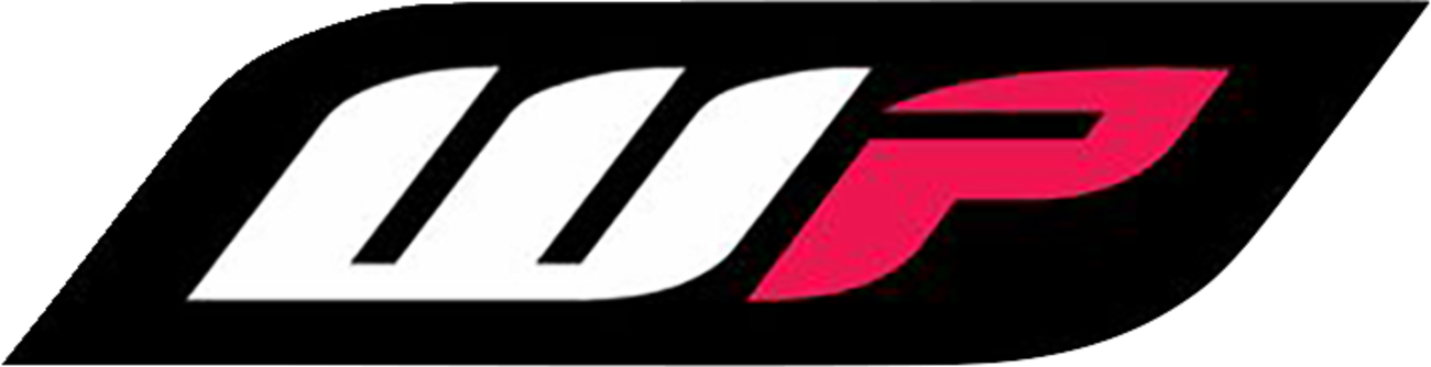 FACTORY EFFEX Logo Decals - WP - 5 pack 28-90014
