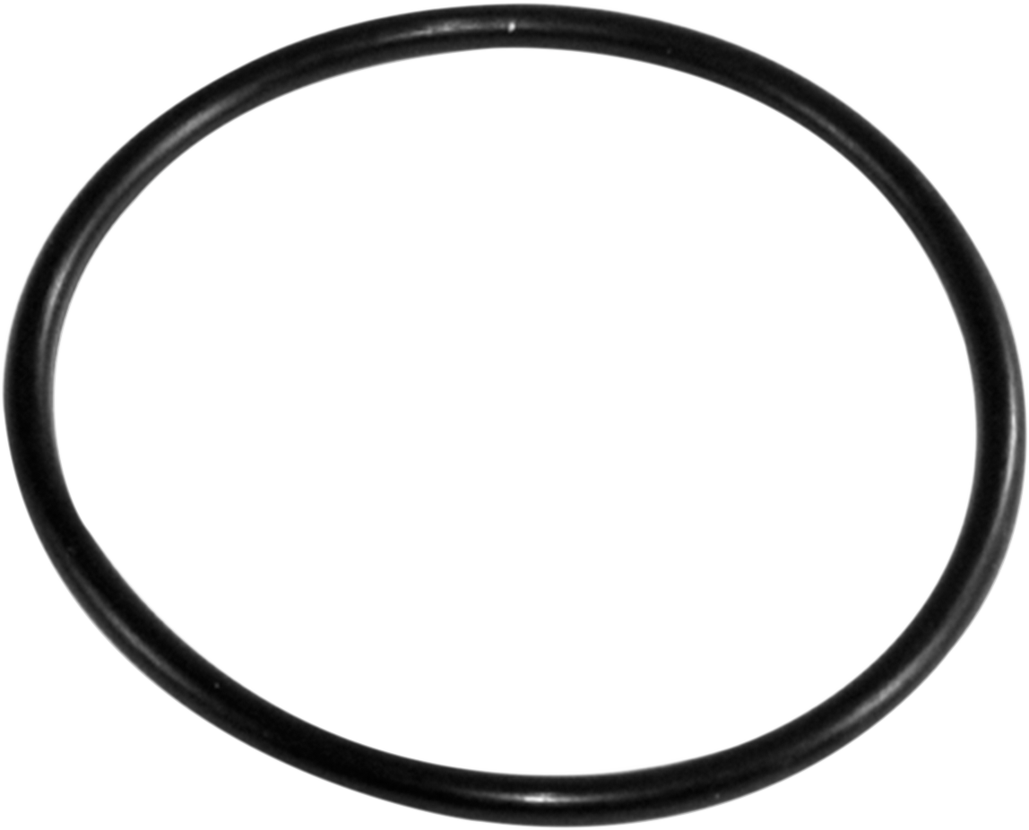 EPI Hub Seal - Front Outer WE300470