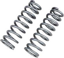 HIGH LIFTER Shock Springs - Front - Silver 79-13807