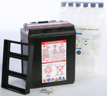 Battery Ytx14ah Bs Maintenance Free