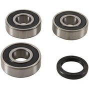 Rear Wheel Bearing Kit