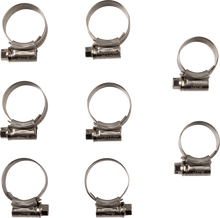 SAMCO SPORT Radiator Hose Clamp Kit - Honda CK HON-126