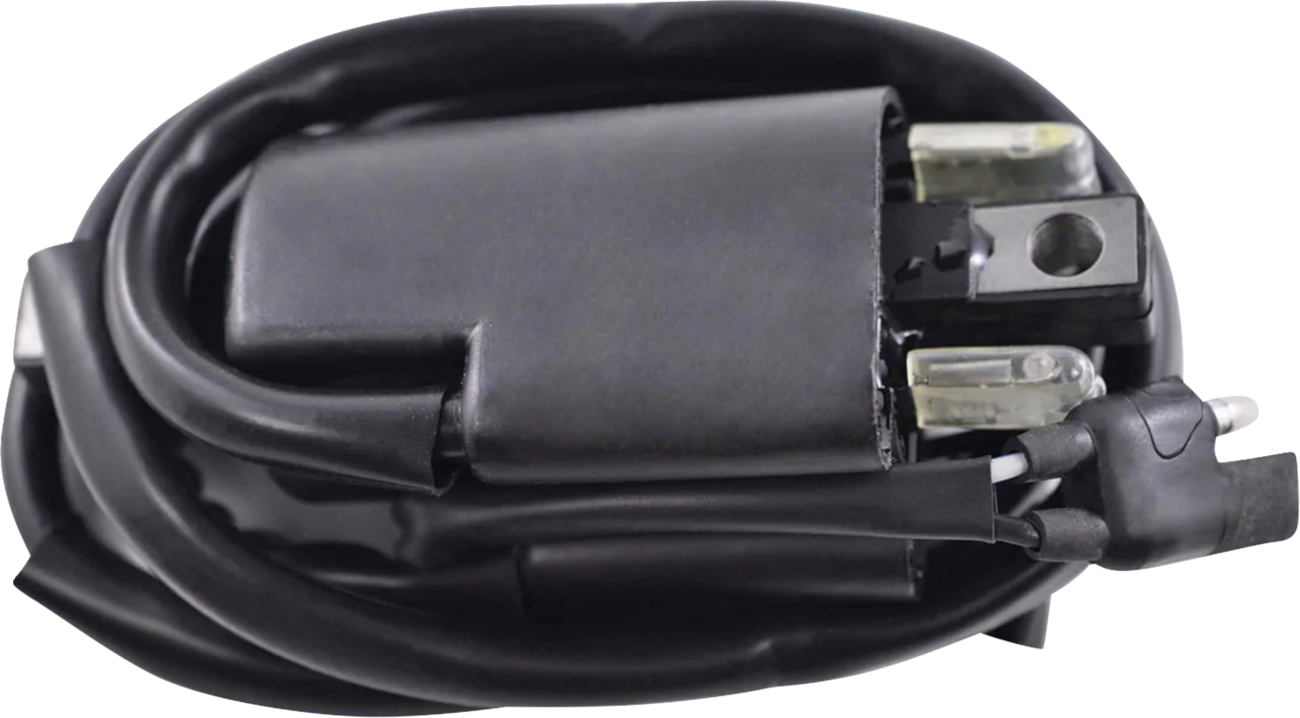 RM STATOR Ignition Coil - External RM06022