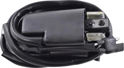 RM STATOR Ignition Coil - External RM06022