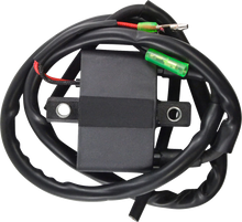 RM STATOR Ignition Coil - External - Arctic Cat RM06061