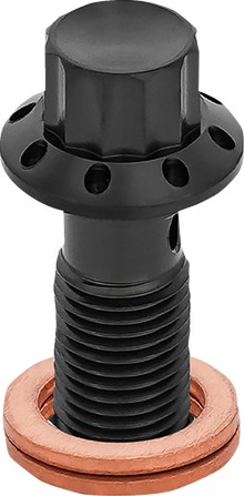 ARLEN NESS Banjo Bolt - 3/8"-24 - Black 300-825