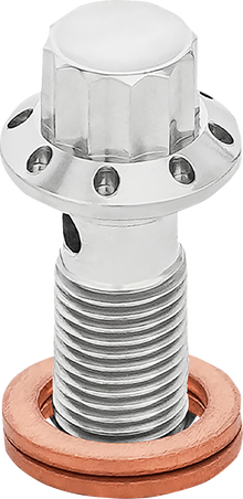 ARLEN NESS Banjo Bolt - 3/8"-24 - Polished 300-824
