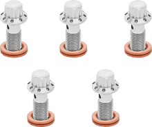 ARLEN NESS Banjo Bolt 5-Pack - 3/8"-24 - Polished 300-854