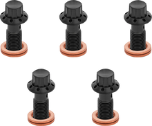 ARLEN NESS Banjo Bolt 5-Pack - 3/8"-24 - Black 300-855