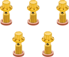 ARLEN NESS Banjo Bolt 5-Pack - 3/8"-24 - Gold 300-856