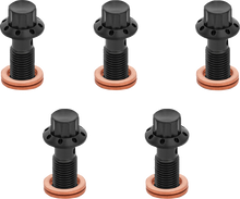 ARLEN NESS Banjo Bolt 5-Pack - M10x1.25 - Black 300-861