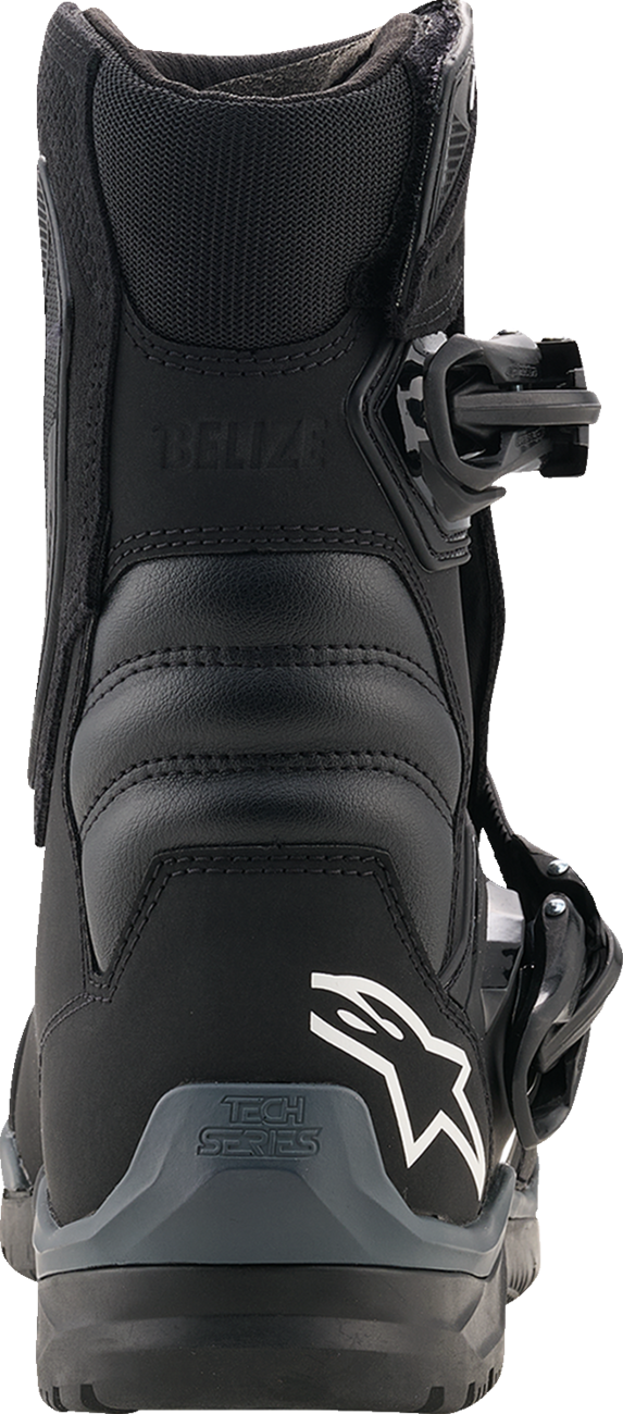 ALPINESTARS Belize V2 Drystar® Boots - Black - US 9 2040226-10-9