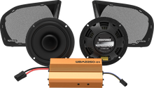 WILD BOAR AUDIO Amplifier/Speaker Kit - 500 W - FLTR HOG WILD RG2-24