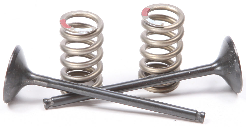 Exhaust Valve Conversion Set Ti Steel Yam