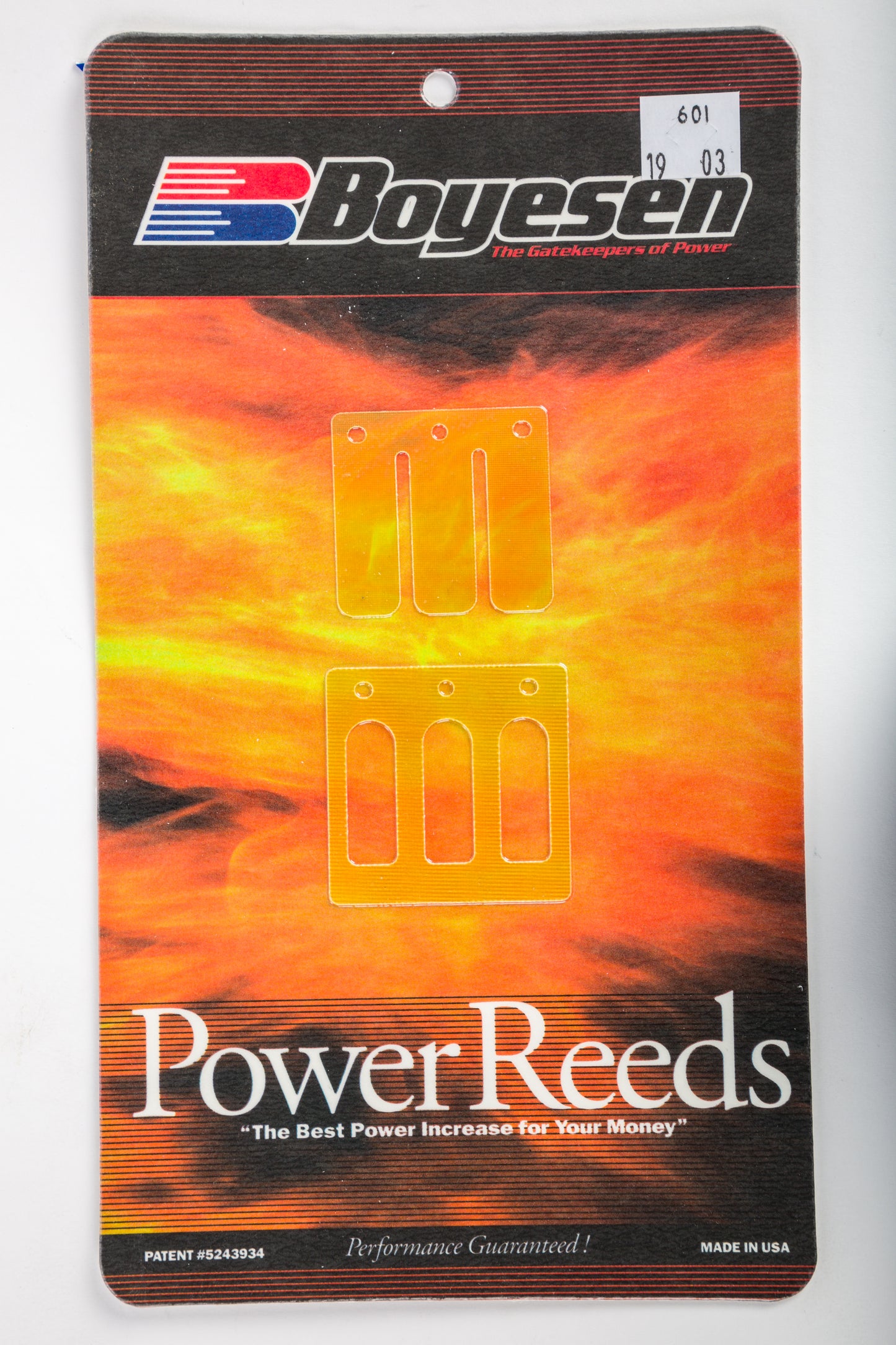 Motorcycle Reeds