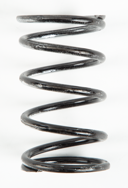 Silver/Black Spring