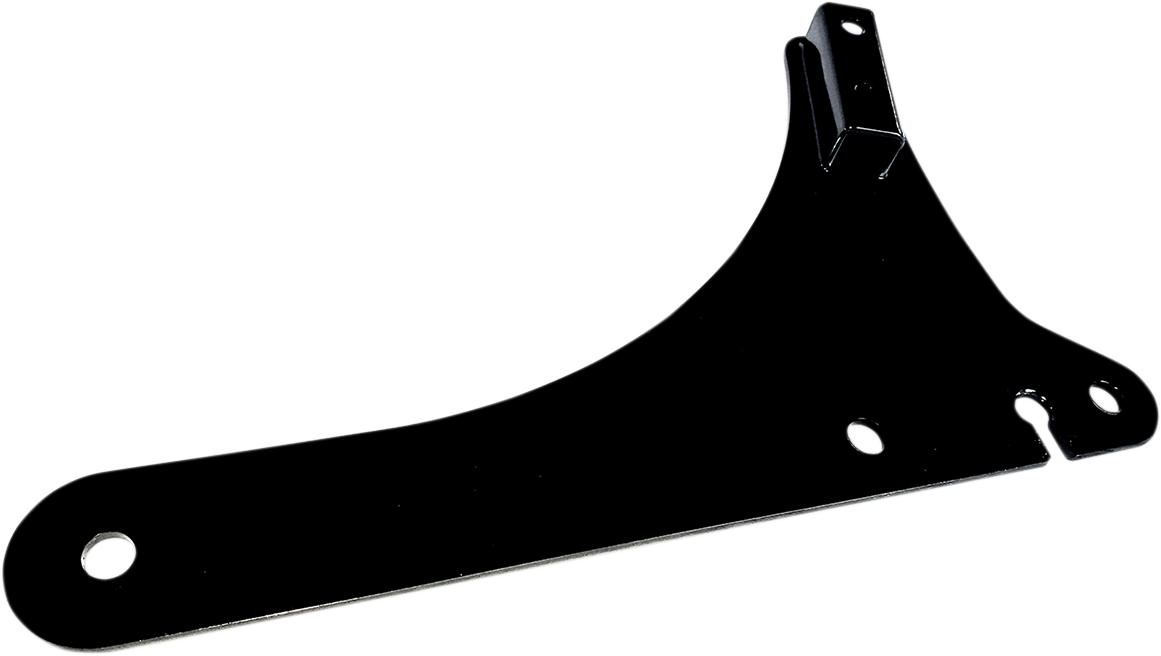 CYCLE VISIONS Side Plates - Black - FLSL CV-8098