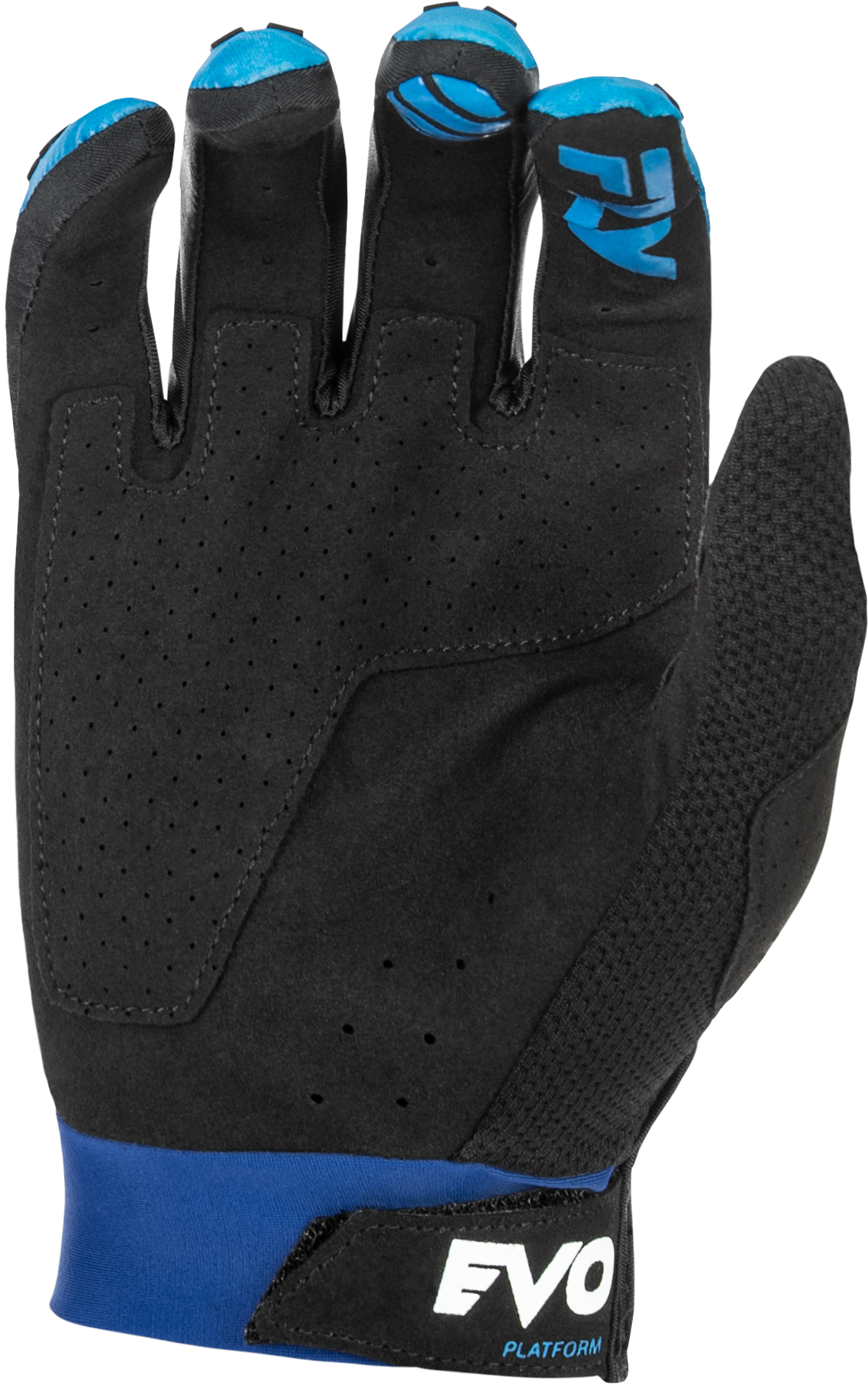 Evolution  Dst Gloves Blue/White Xs