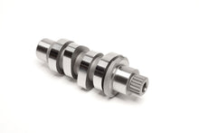 464 Grind Cam M8 17 24 (Exc.Vvt)