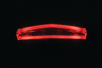 Led Tail/Brake Light Smoke Lens
