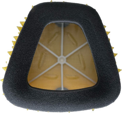 Air Filter Proline