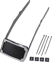 CYCLE VISIONS LP Plate Frame & Mount with Tag Light - FLSL - Black CV4665B