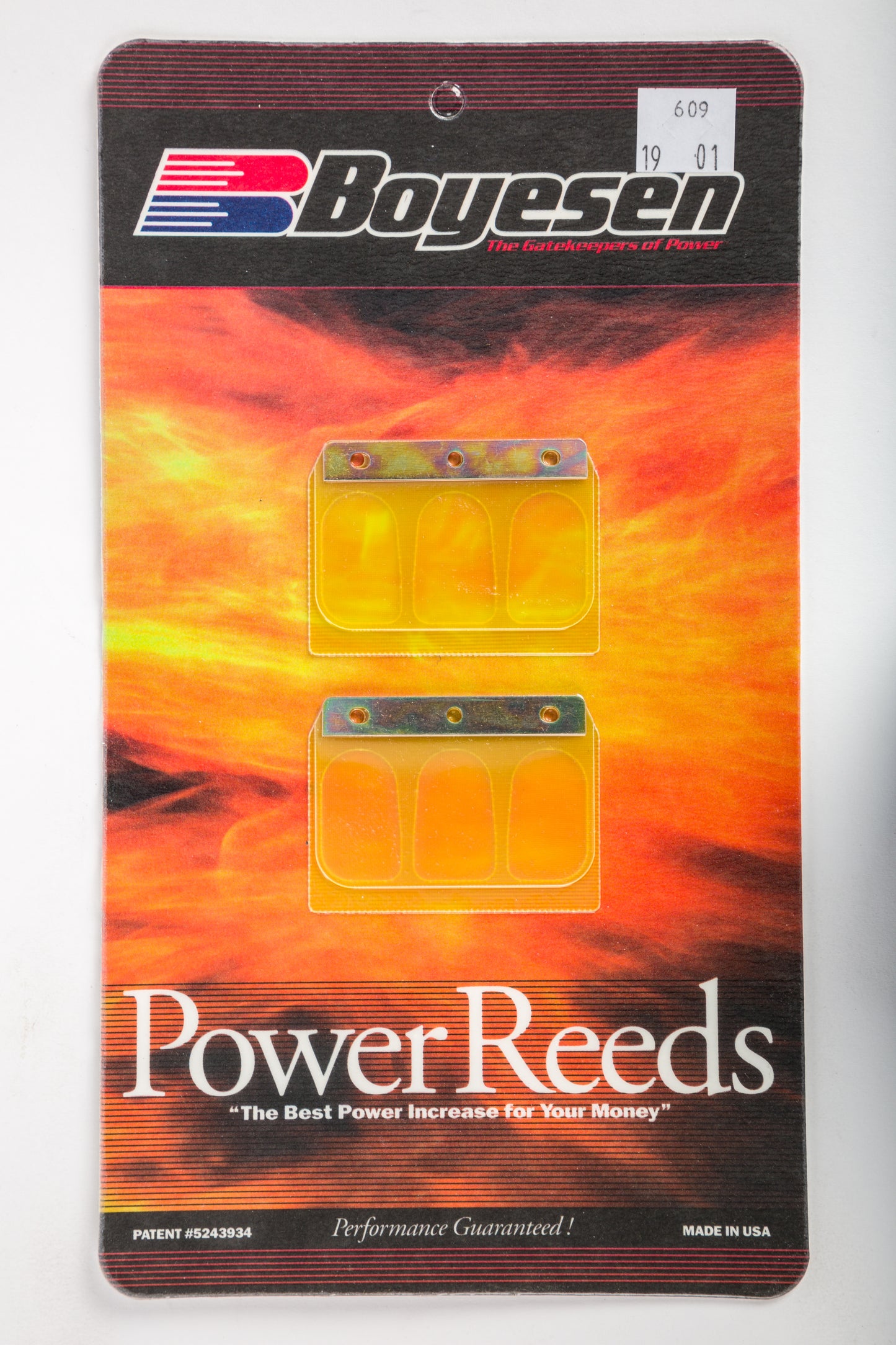 Motorcycle Reeds