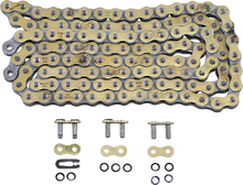 REGINA 520 ZSE - Drive Chain - 118 Links 135ZSE/1003