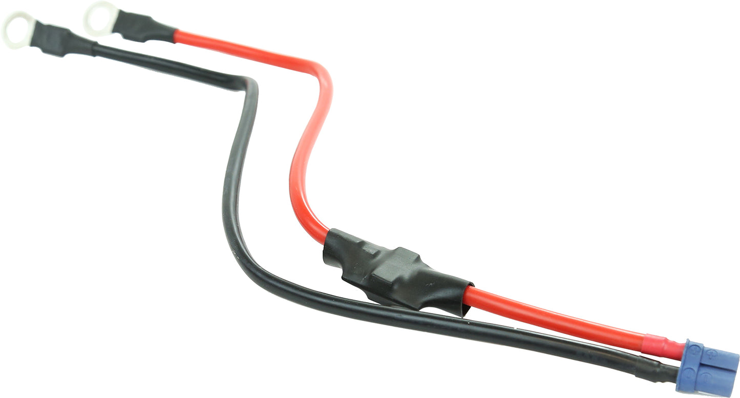 Xp1/Xp3 Harness
