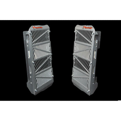 Radiator Guard Beta
