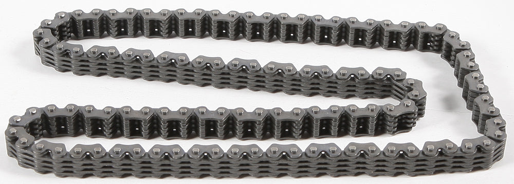 Cam Chain