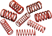 ANDREWS High-Lift Springs 294150